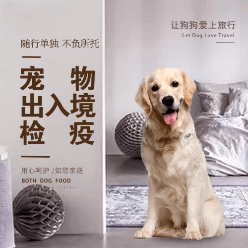 湖北省宠物托运到哥伦比亚猫狗宠物入境规定和