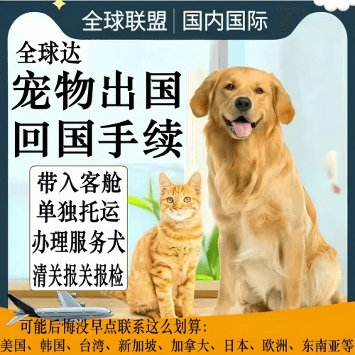 湖北省宠物托运到柬埔寨宠物入境规定和要求