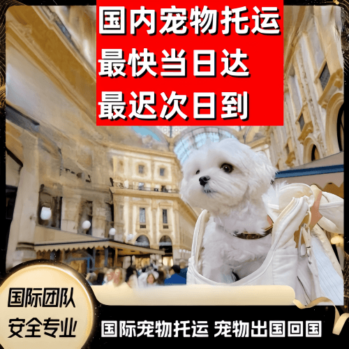 湖北省到澳大利亚（澳洲）宠物入境规定和要求